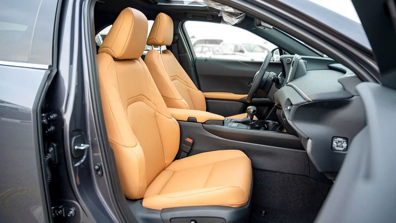 Lexus UX250h UX 250H | 2-YEAR WARRANTY + SERVICE AVAILABLE | IN-HOUSE FINANCING | 0% DOWNPAYMENT (BANK)
