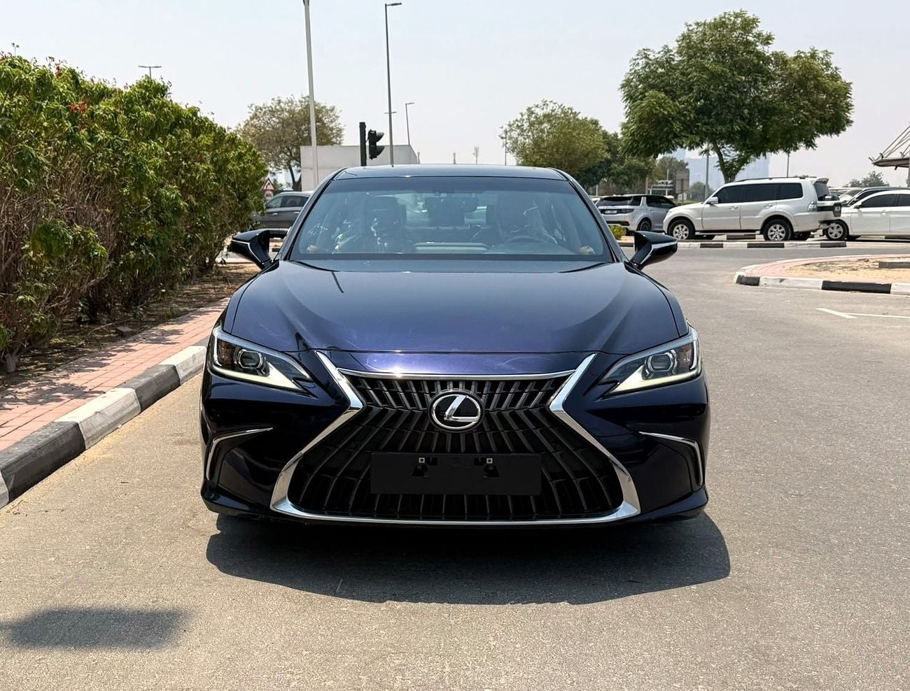 Lexus ES300h LEXUS ES 300 Hybrid 2.5L Premier Option 2023 Model