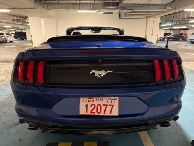 Ford Mustang STANDARD, миниатюра 22
