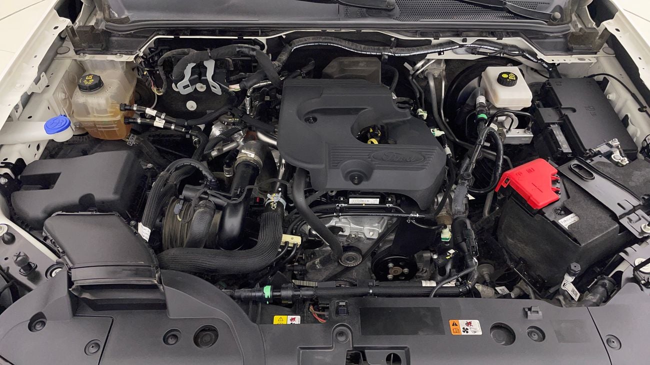 فورد ايفرست XLS 2.3 | بدون دفعة مقدمة | اختبار القيادة في المنزل