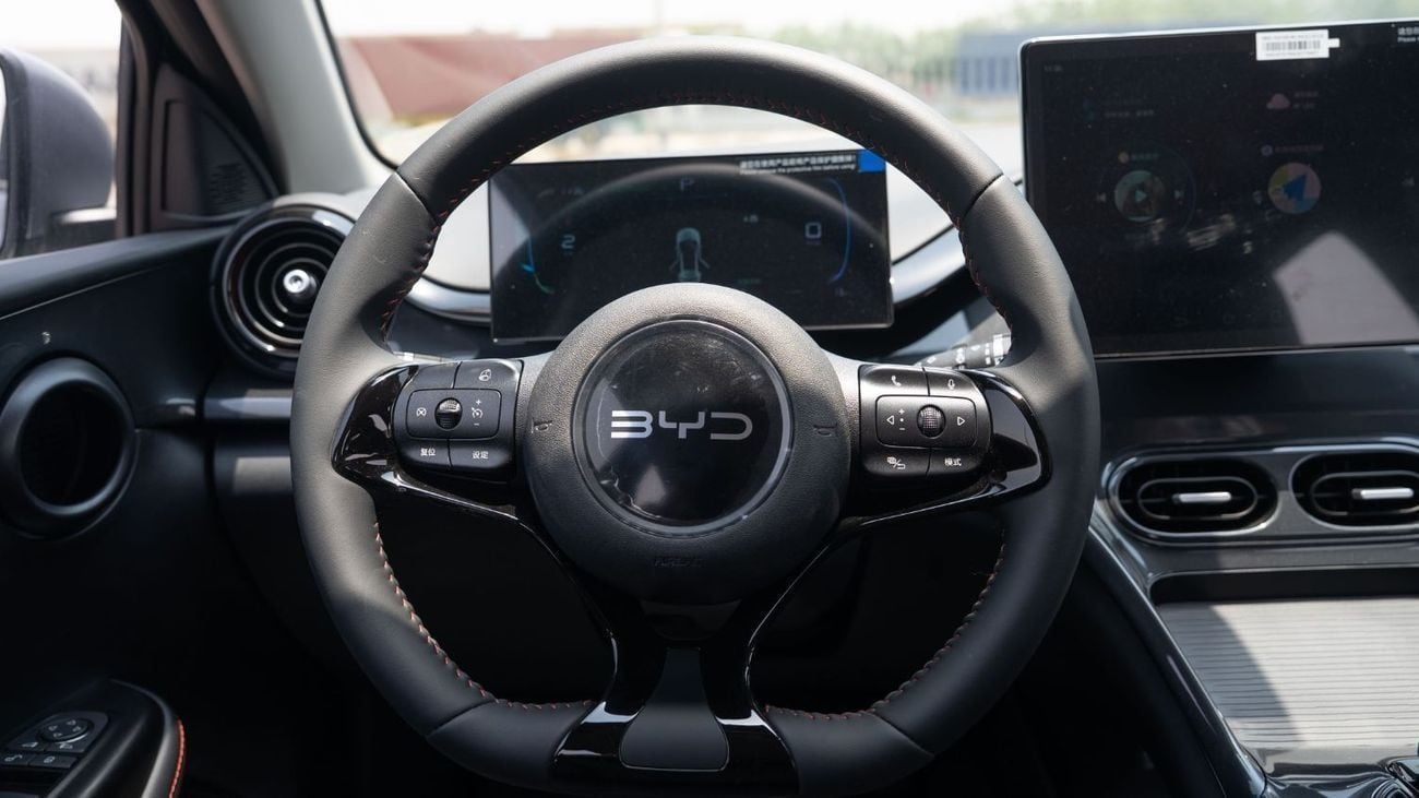 BYD e2 2025 BYD E2 Luxury - Grey Inside Black | Export Only