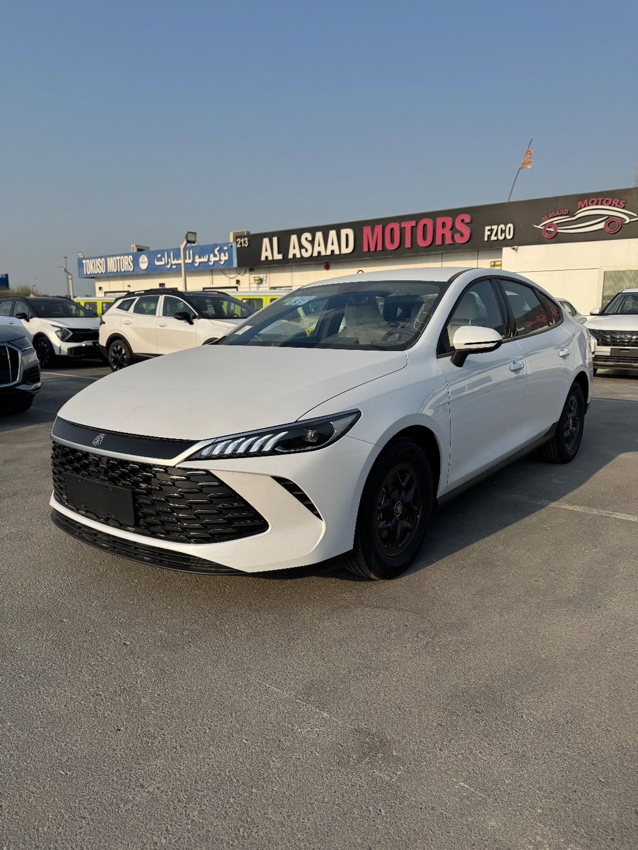 بي واي دي كين بلاس Brand New Qin Plus