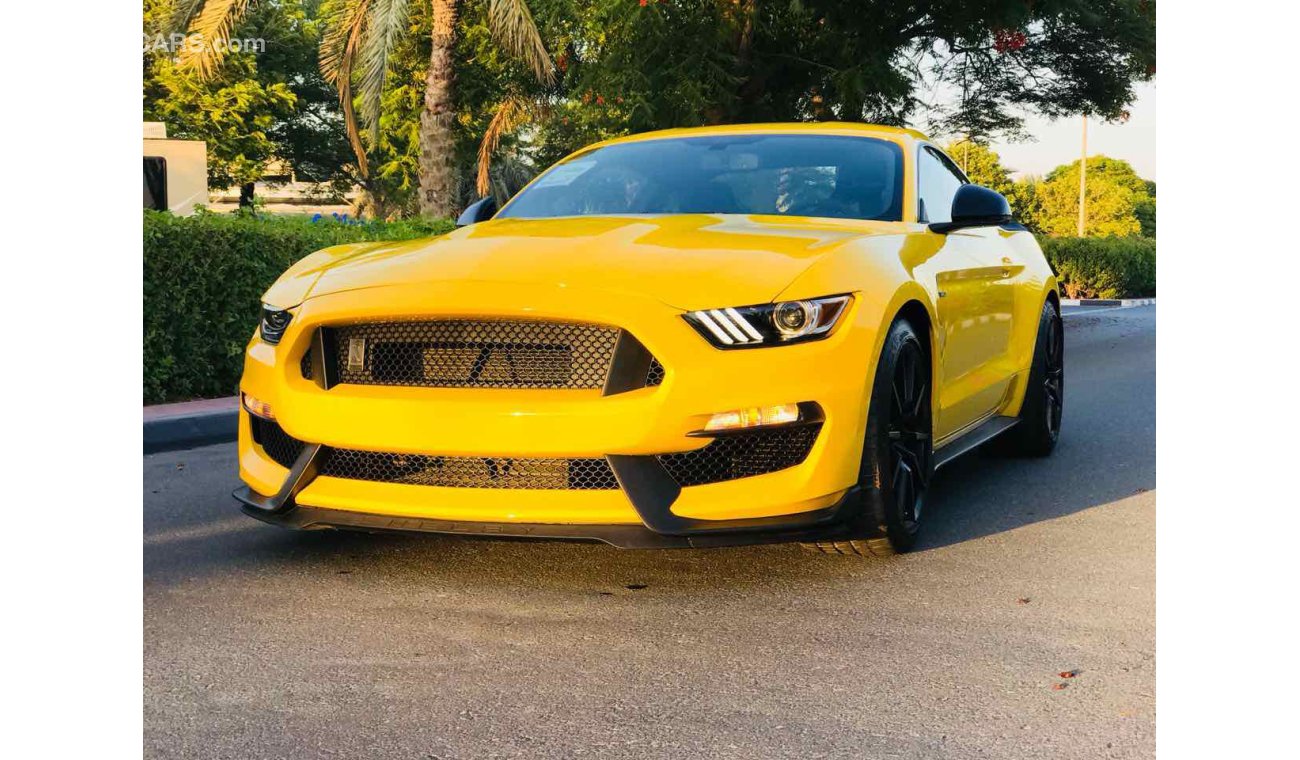 Ford Mustang SHEBLY GT350 EDITION MANUAL TRANS