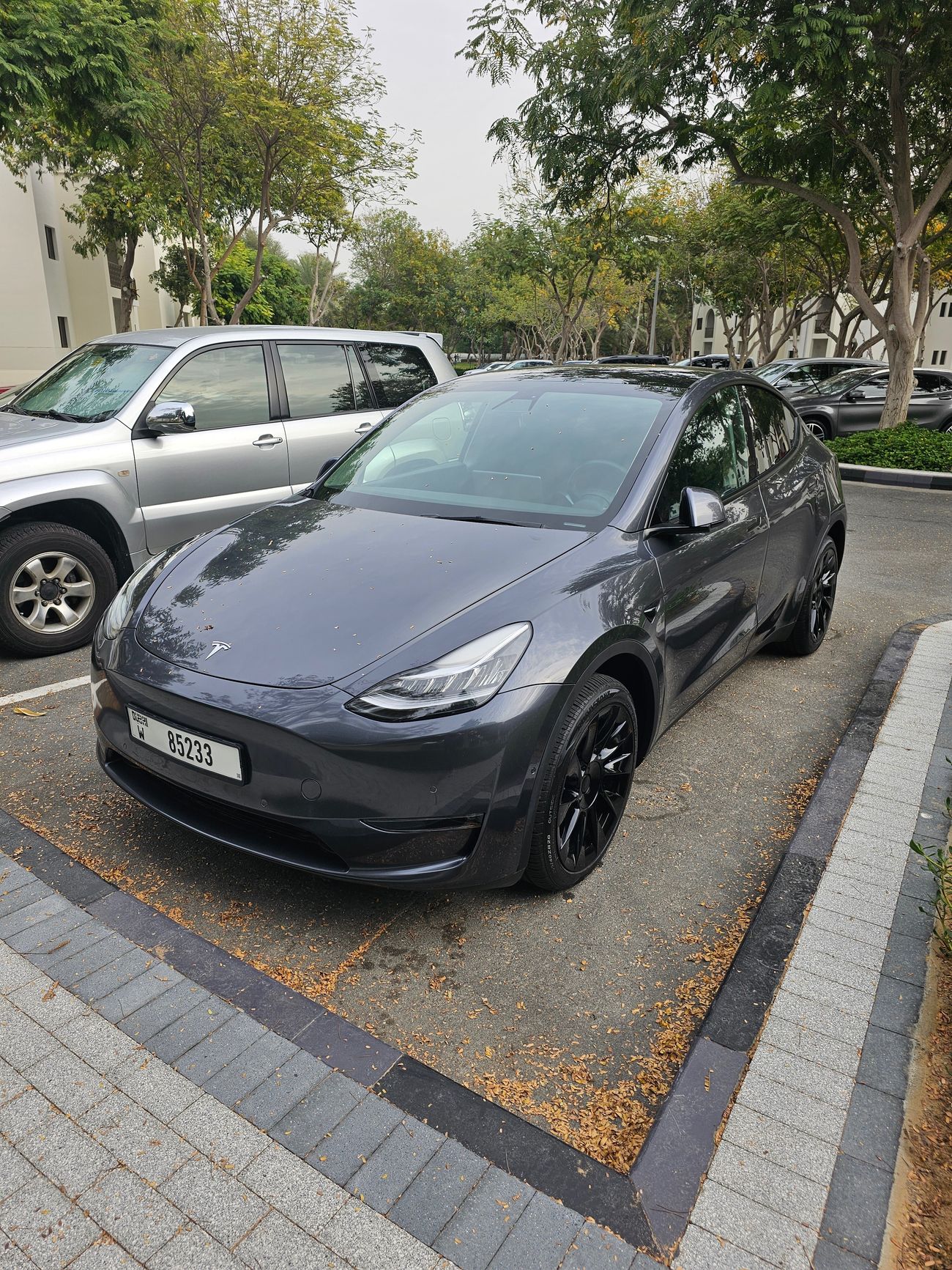 تسلا موديل Y Long Range (AWD)