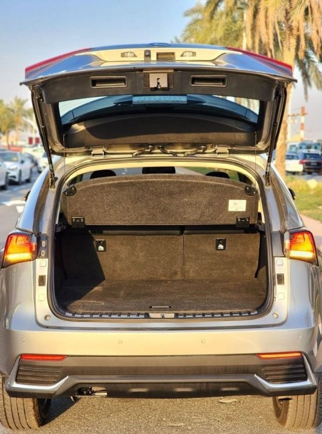 Lexus NX200t LEXUS NX 200 JAPAN 2020