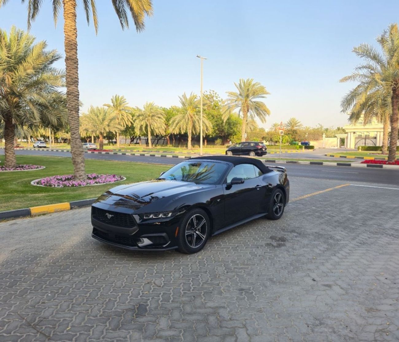 Ford Mustang EcoBoost 2.3L Convertible A/T