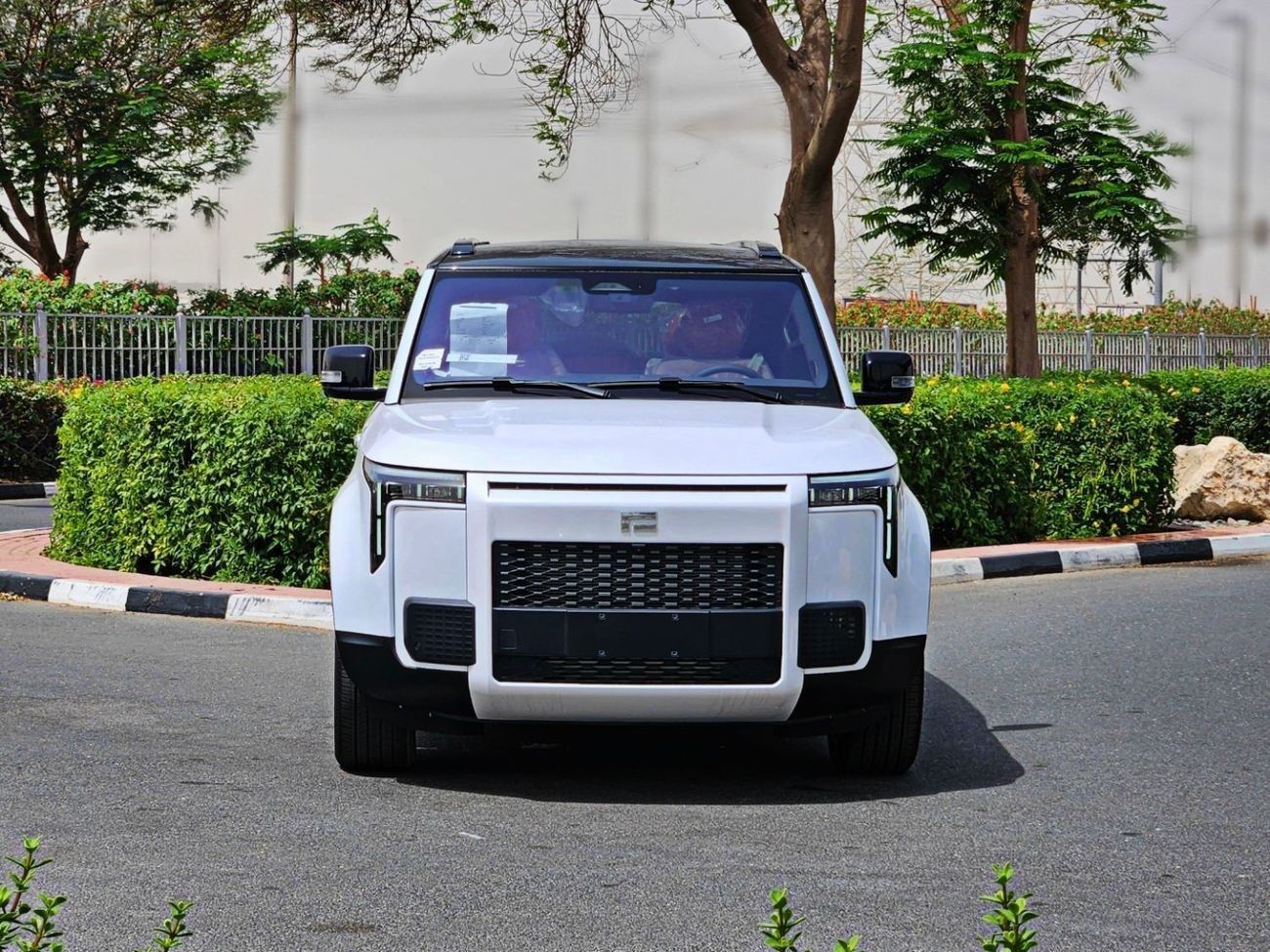 روكس 01 VIP 10 years warranty  - 1.5L turbo engine - 350 kw dual motor