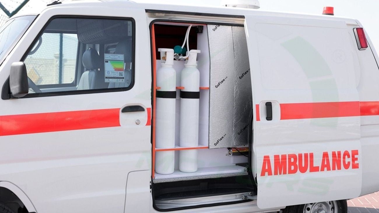 سي إم سي فيريكا ( Only For Export ) 2025 CMC Veryca Panel Van 1.5L RWD GCC 0Km