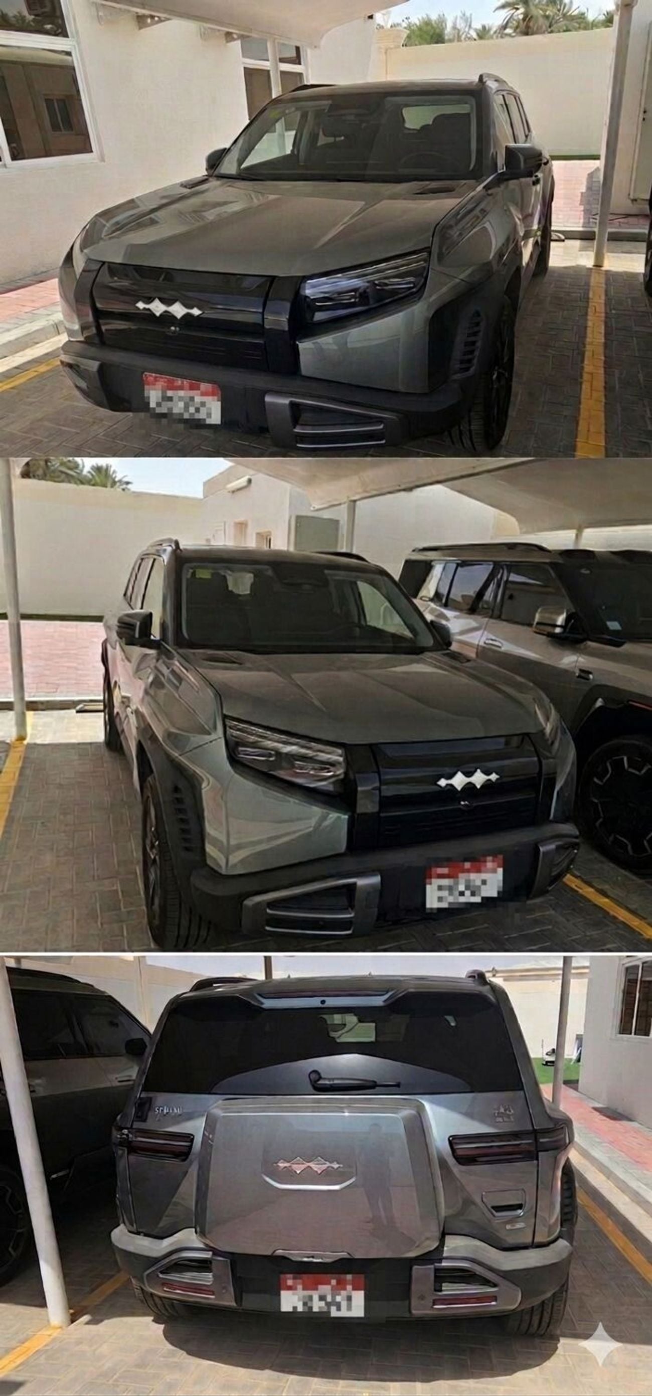 BYD Leopard 3