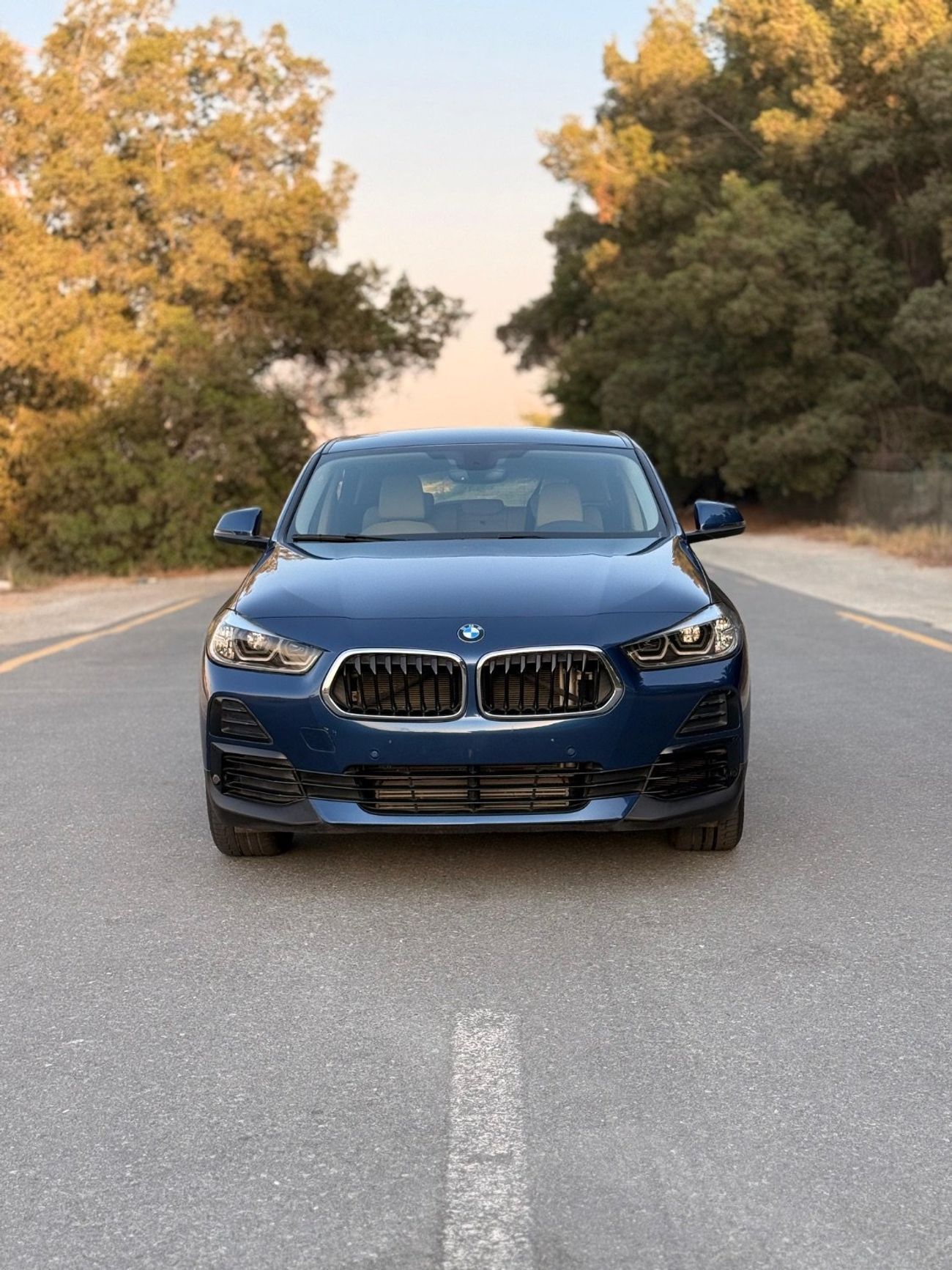 BMW X2 sDrive 20i Sport X 2.0L