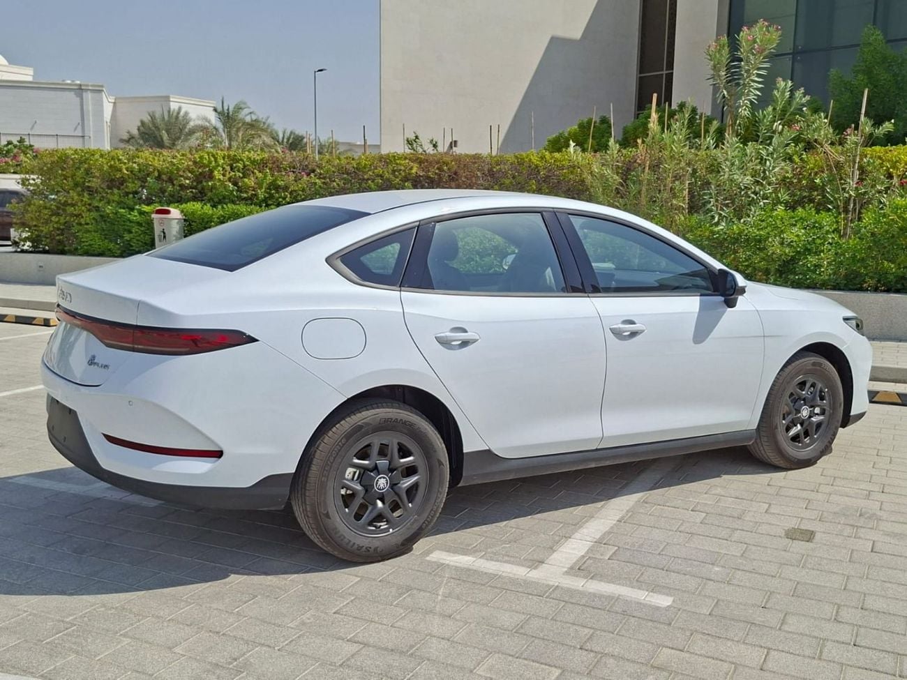 بي واي دي كين بلاس STANDARD