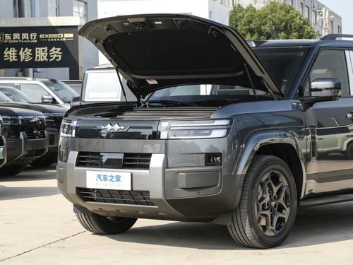 بي واي دي ليوبارد تيتانيوم 7 grey-white