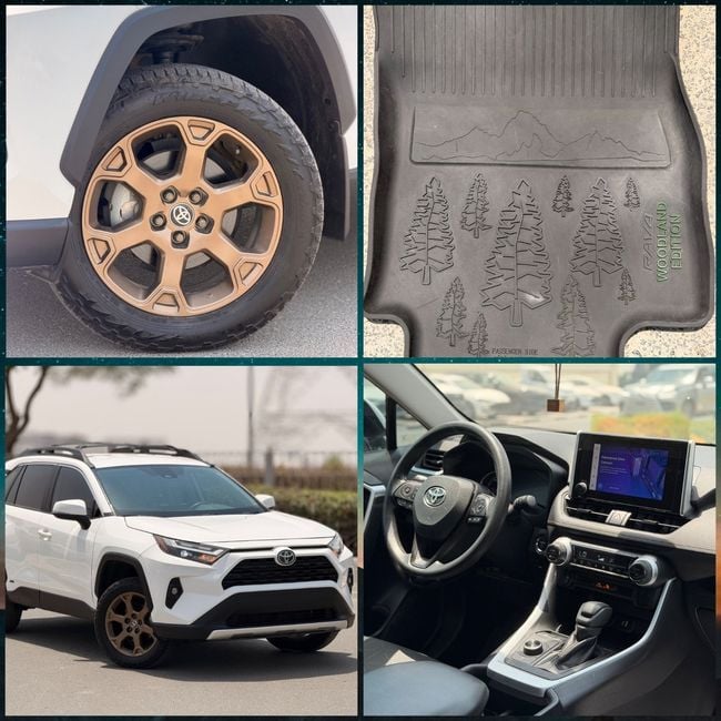 Toyota RAV4 EXR HEV, миниатюра 25