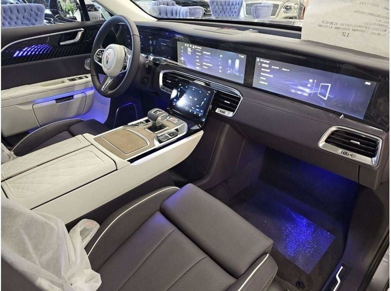 HONGQI EHS9 HONGQI /EHS9 FULLY LOADED /LONG RANGE /6 SEATERS