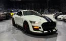 Ford Mustang SHELBY GT500