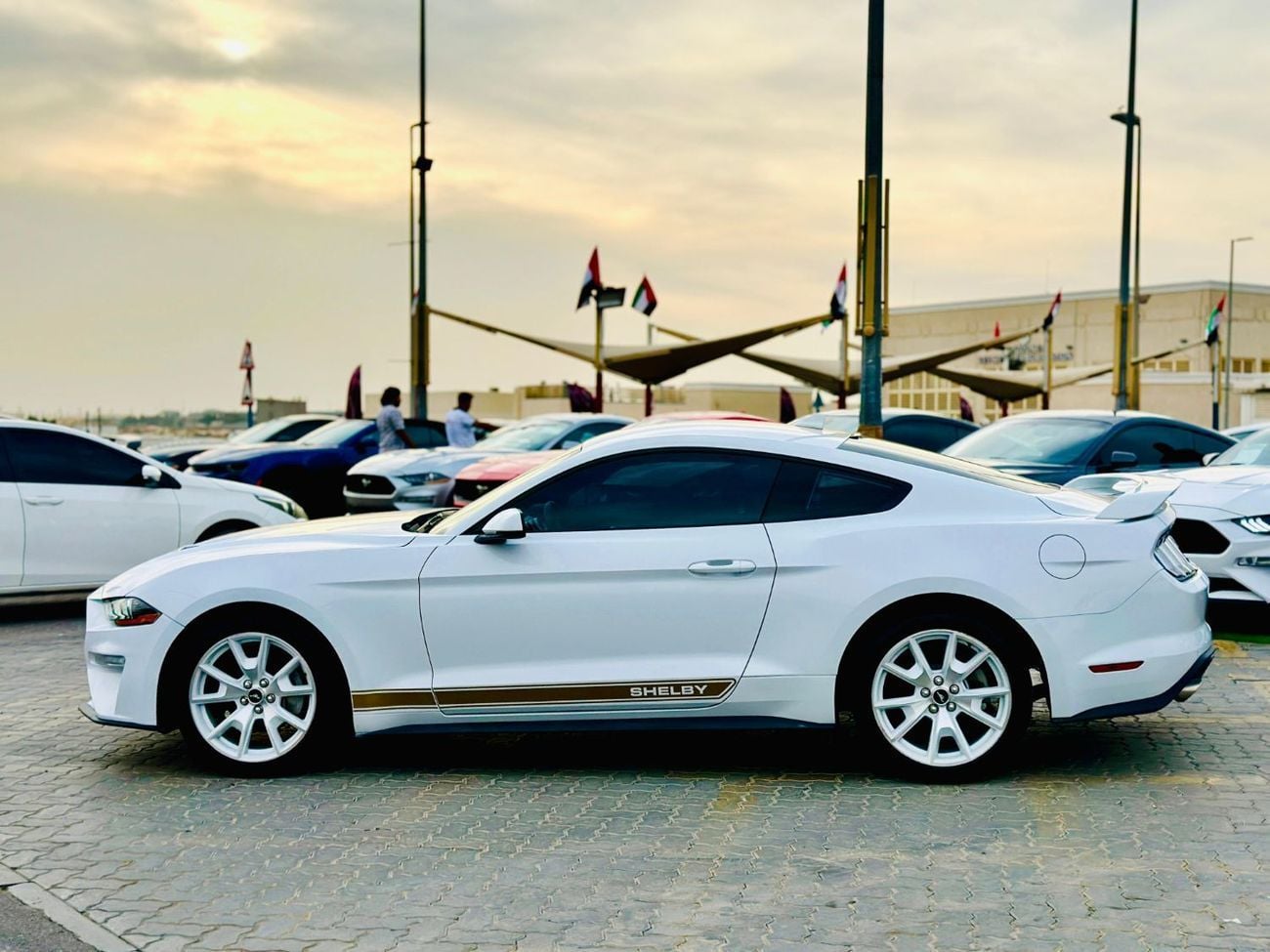 Ford Mustang EcoBoost Premium 2.3L Coupe A/T | Monthly 1300/- | 0% DP | # 12590