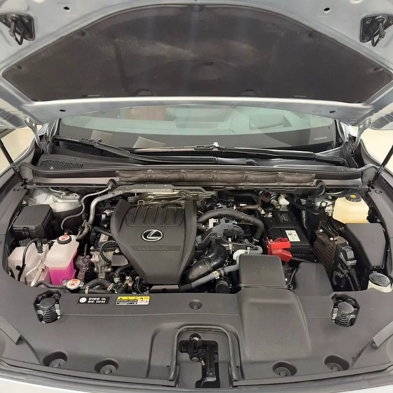 لكزس RX 350 Rx350 F-sport