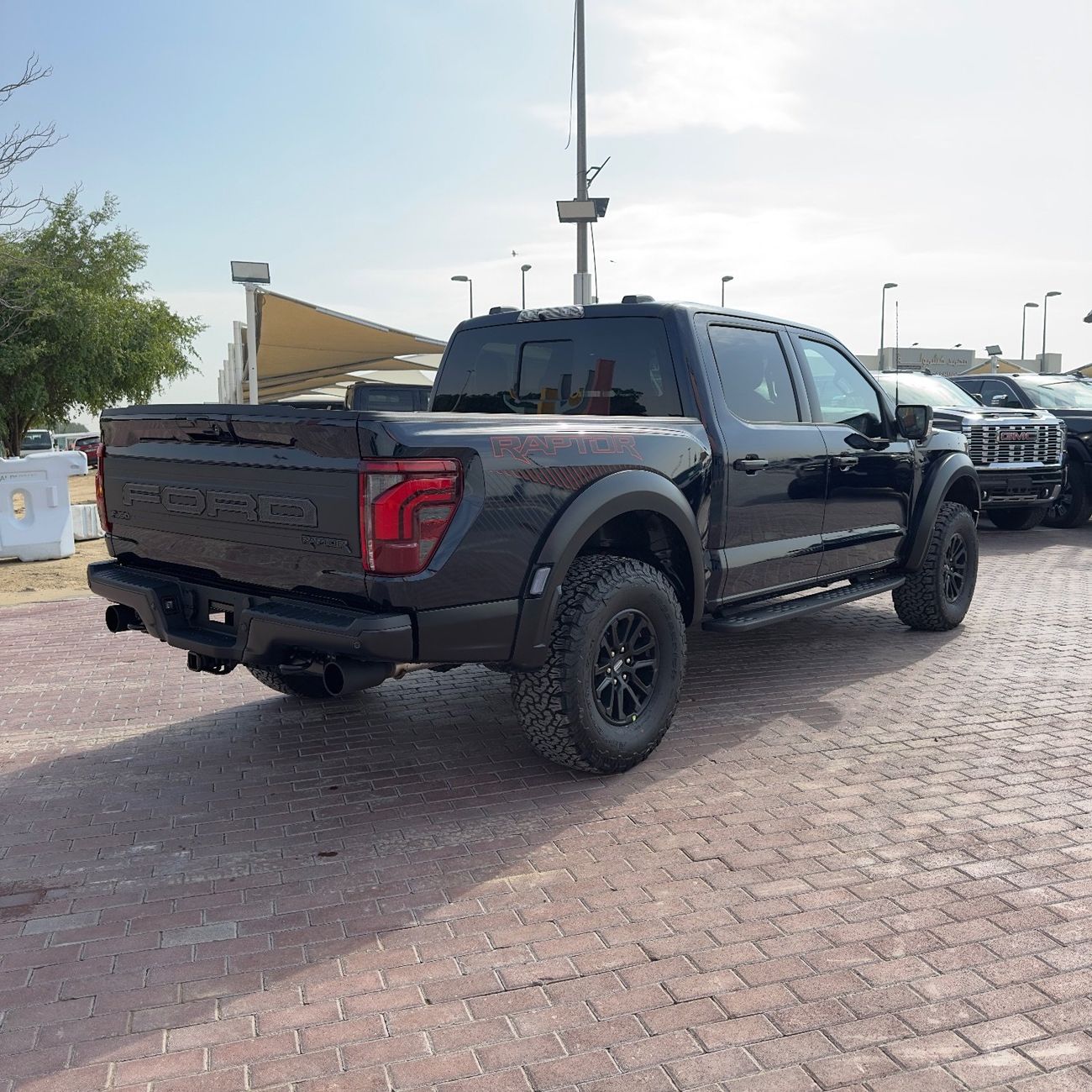 Ford F 150 Raptor Raptor 3.5L