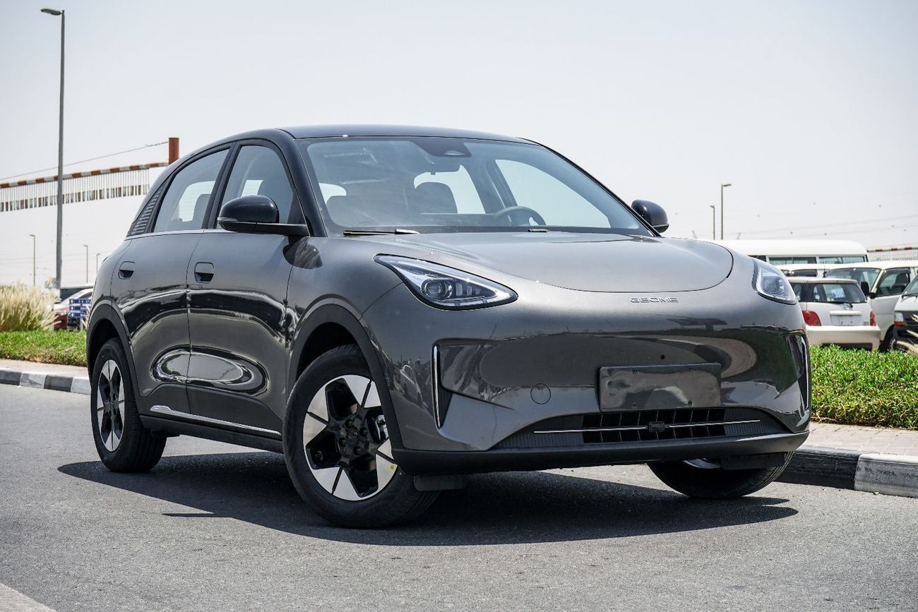 جيلي شينغ يوان Geome EV 410KM