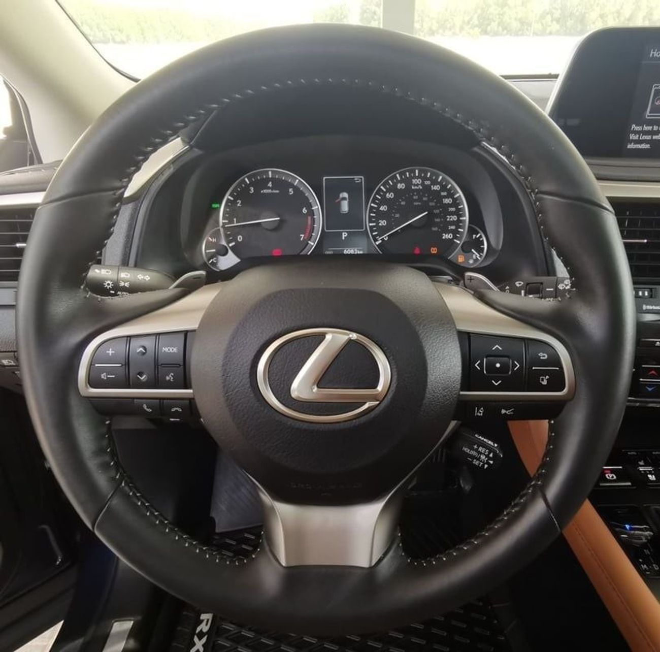 Lexus RX350 Lexus RX350- 2022- Blue