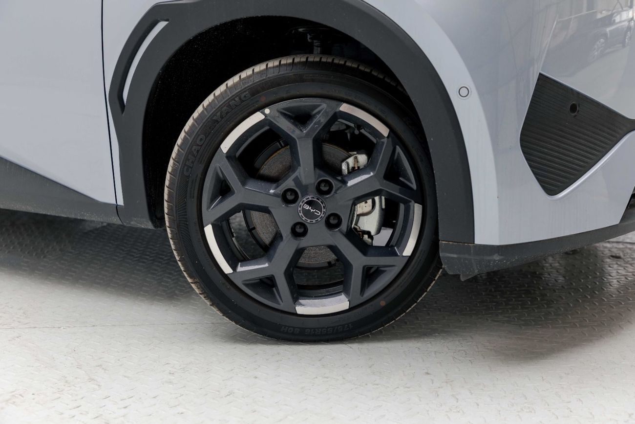 BYD Seagull ID Flying - Blue Inside Blue | Export Only