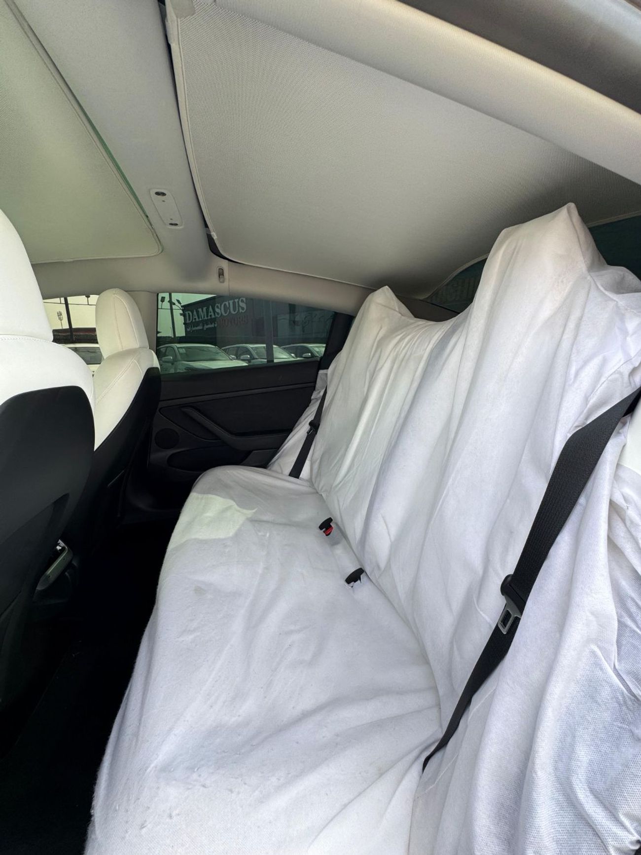 Tesla Model 3 Performance (AWD)