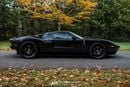Ford GT Rare 1 of 14 Stripe Delete
