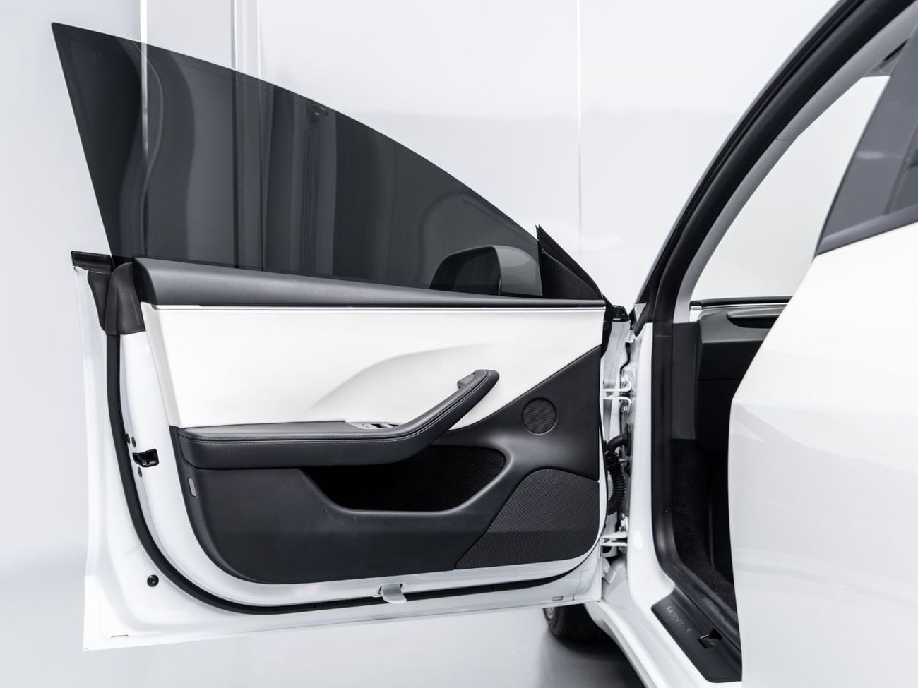 Tesla Model 3 PERFORMANCE BUY NOW, PAY 2027 | THE BLACKLINE STANDARD | Tesla Warranty, Carbon Fibre, GCC