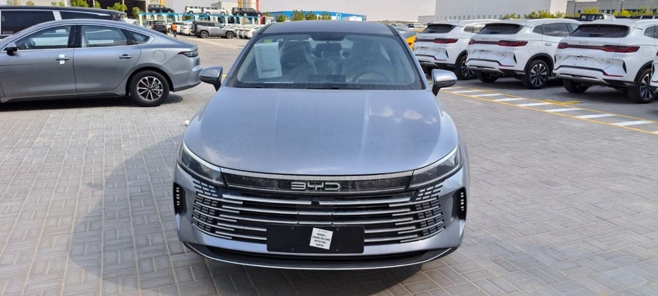 بي واي دي ديسترويار 05 Grey-white