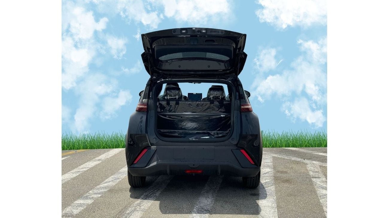 BYD Seagull SEAGULL FLYING HI 2024 HATCHBACK  ELECTRIC