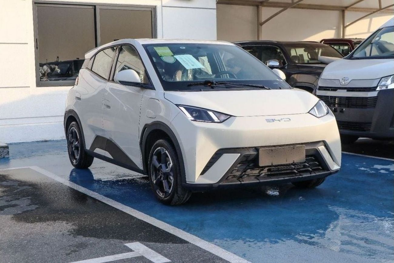 BYD Seagull BYD seagull 2025 model 405km rang