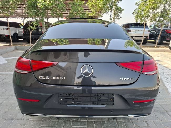 Mercedes-Benz CLS Mercedes Benz CLS300, миниатюра 24