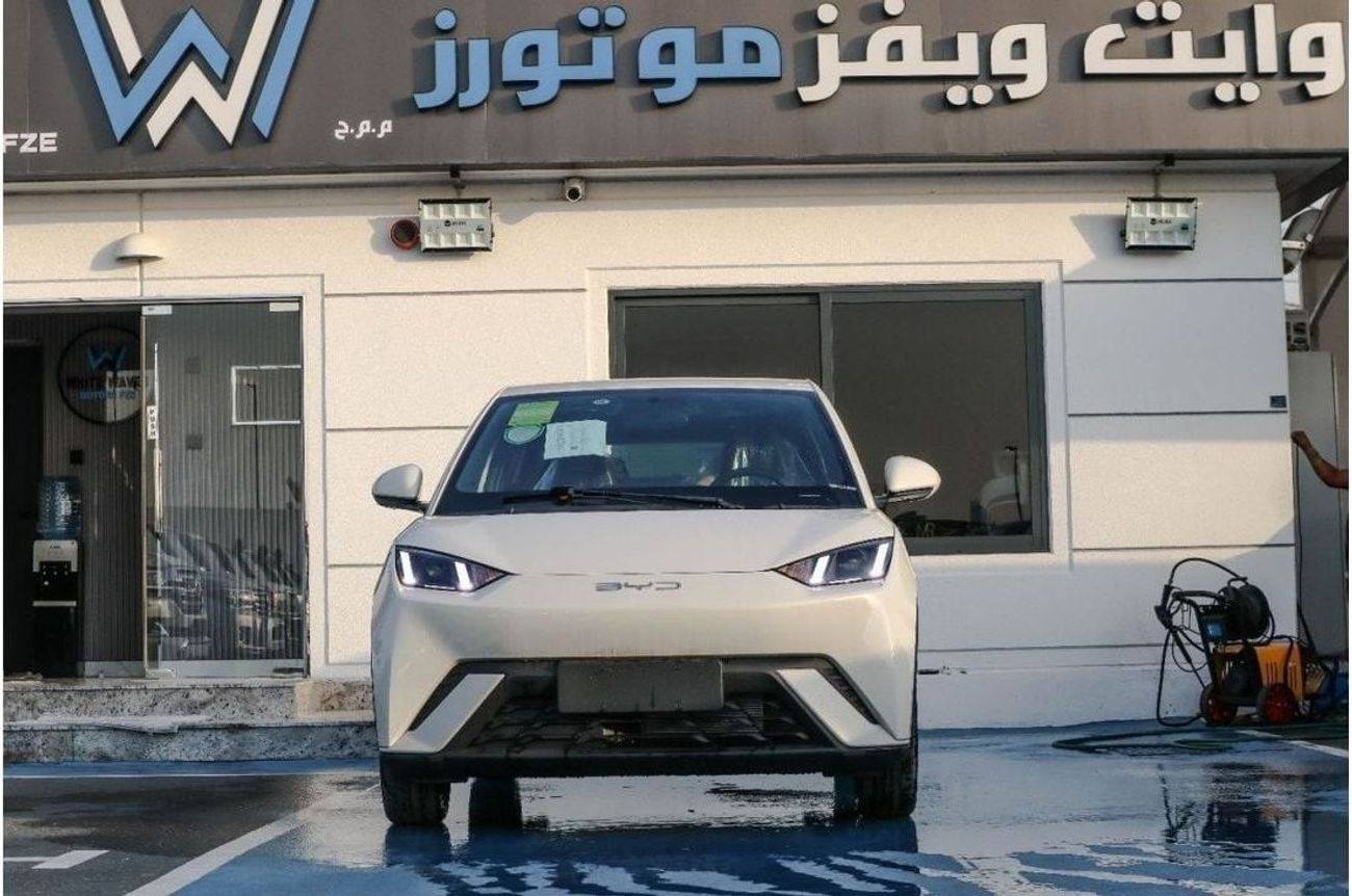 BYD Seagull BYD seagull 2025 model 405km rang