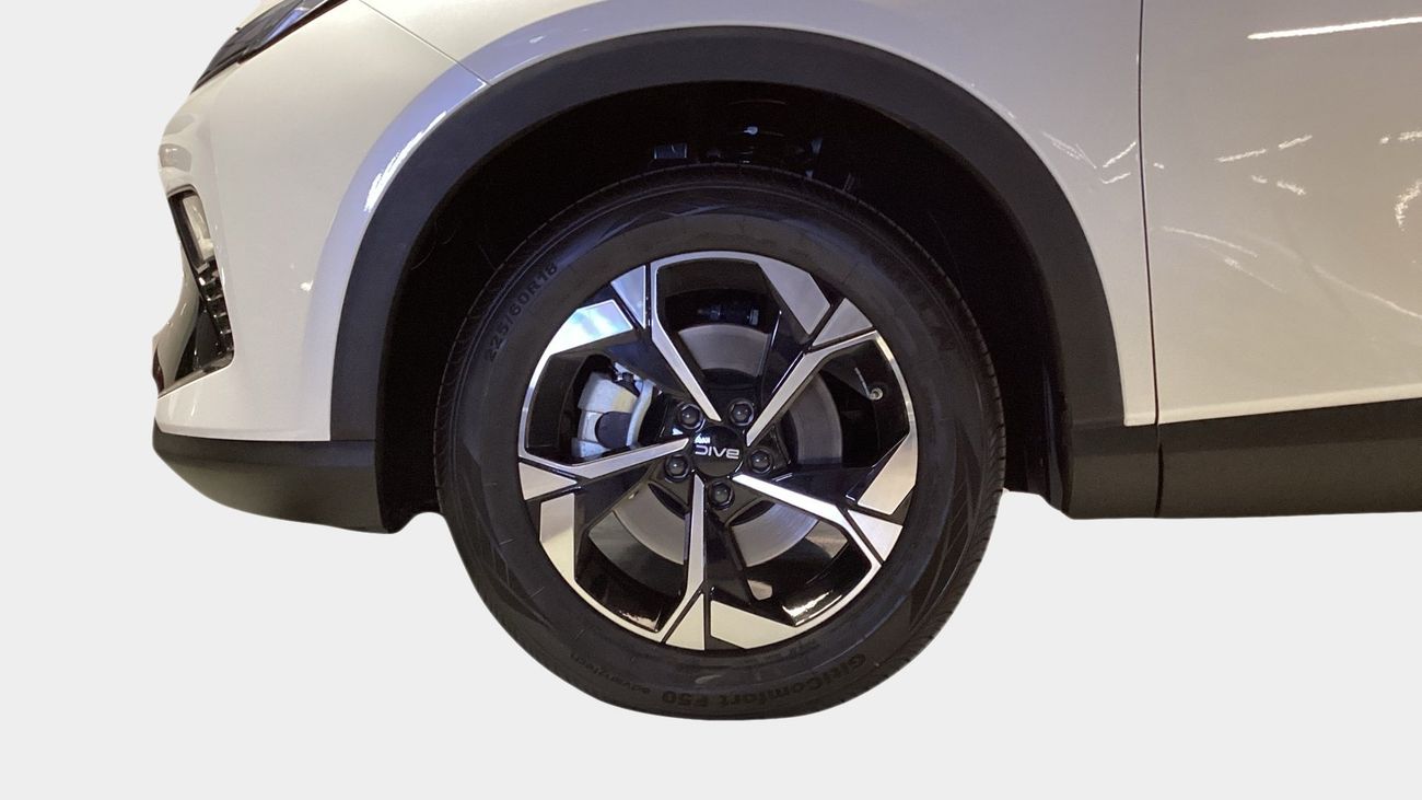 بايك X55 Luxury | شامل الضمان | 0 ﺪﻔﻋﺓ ﺃﻮﻟﻯ