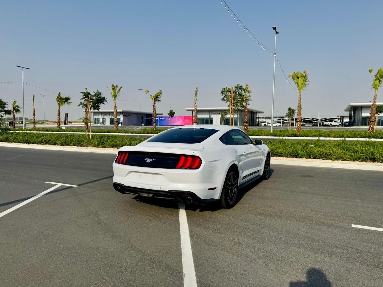 Ford Mustang STD