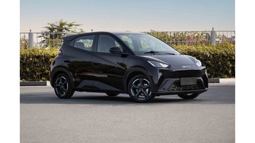 BYD Seagull 2024 BYD Seagull - Black inside Blue | Export Only