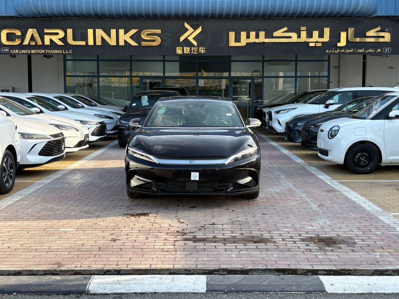 بي واي دي هان PREMIUM