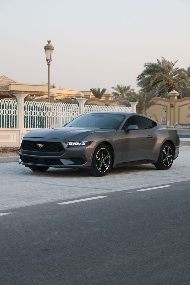 Ford Mustang STANDARD, миниатюра 18
