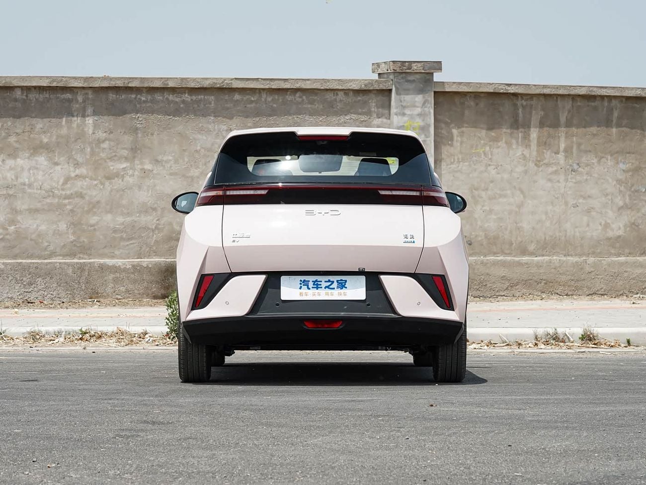 BYD Seagull Intelligent Driving Edition (405km), Flying Edition (Top Configuration), Manufacturer Authorized