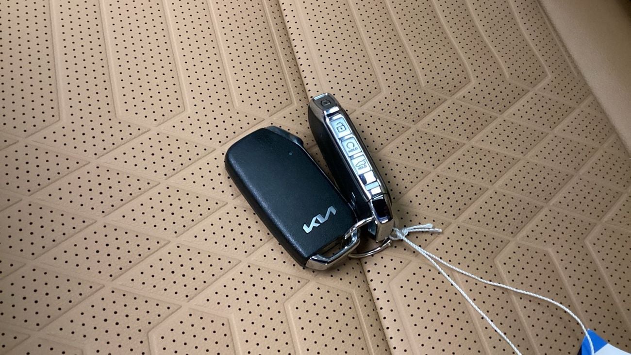 Kia Sonet EX FOP | Guaranteed Warranty | 0 Down Payment