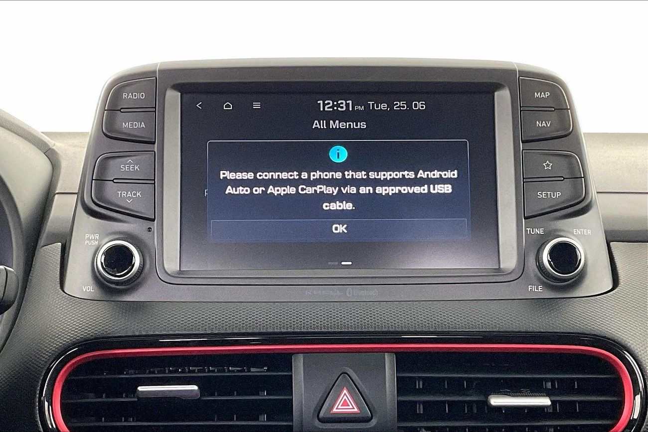 Tesla Model Y Performance (Dual Motor)| 1 year free warranty | Exclusive Eid offer