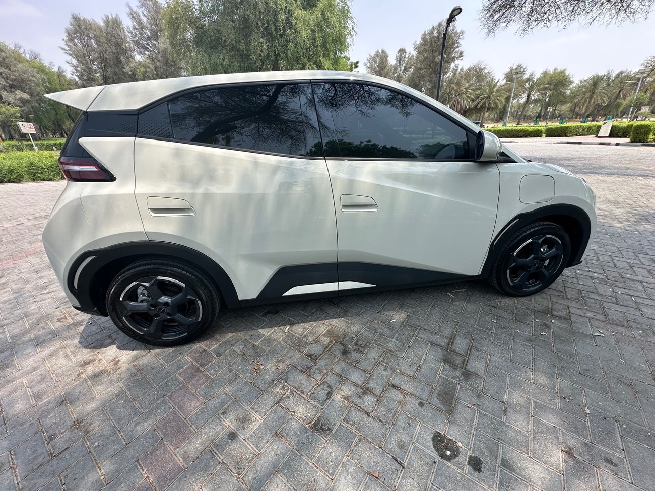 بي واي دي سيجول BYD seagull flying 405 GOLD warranty and service open KM