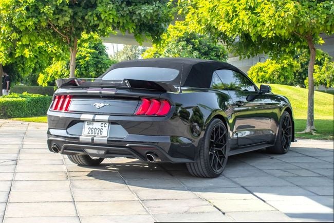 Ford Mustang EcoBoost Premium 2.3L Convertible M/T, миниатюра 27