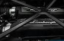 Lamborghini Huracan Evo Spyder 5.2L V10 Naturally Aspirated Engine