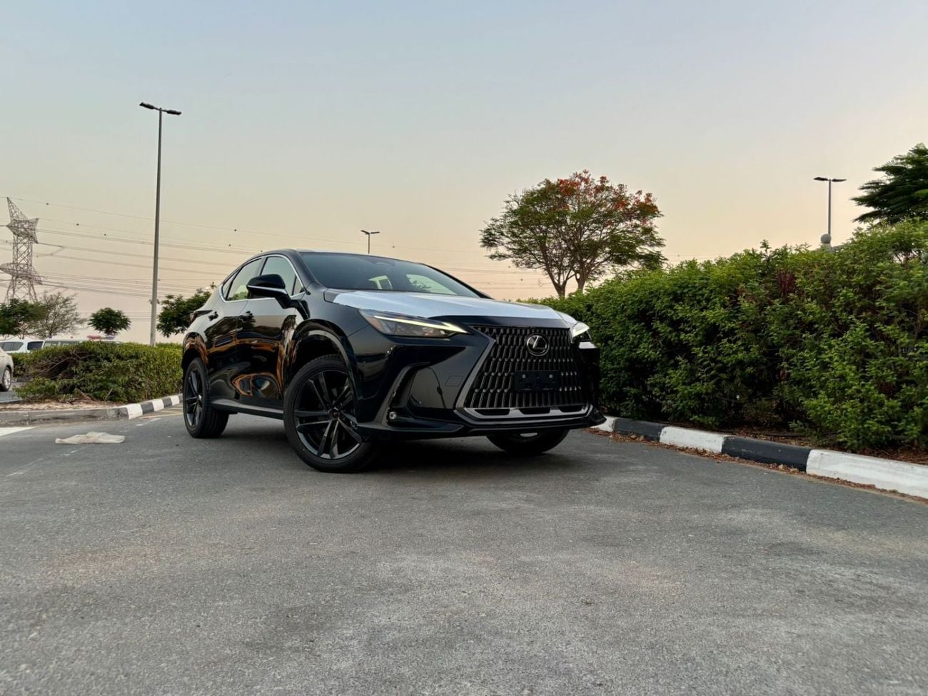 Lexus NX350 PREMIER