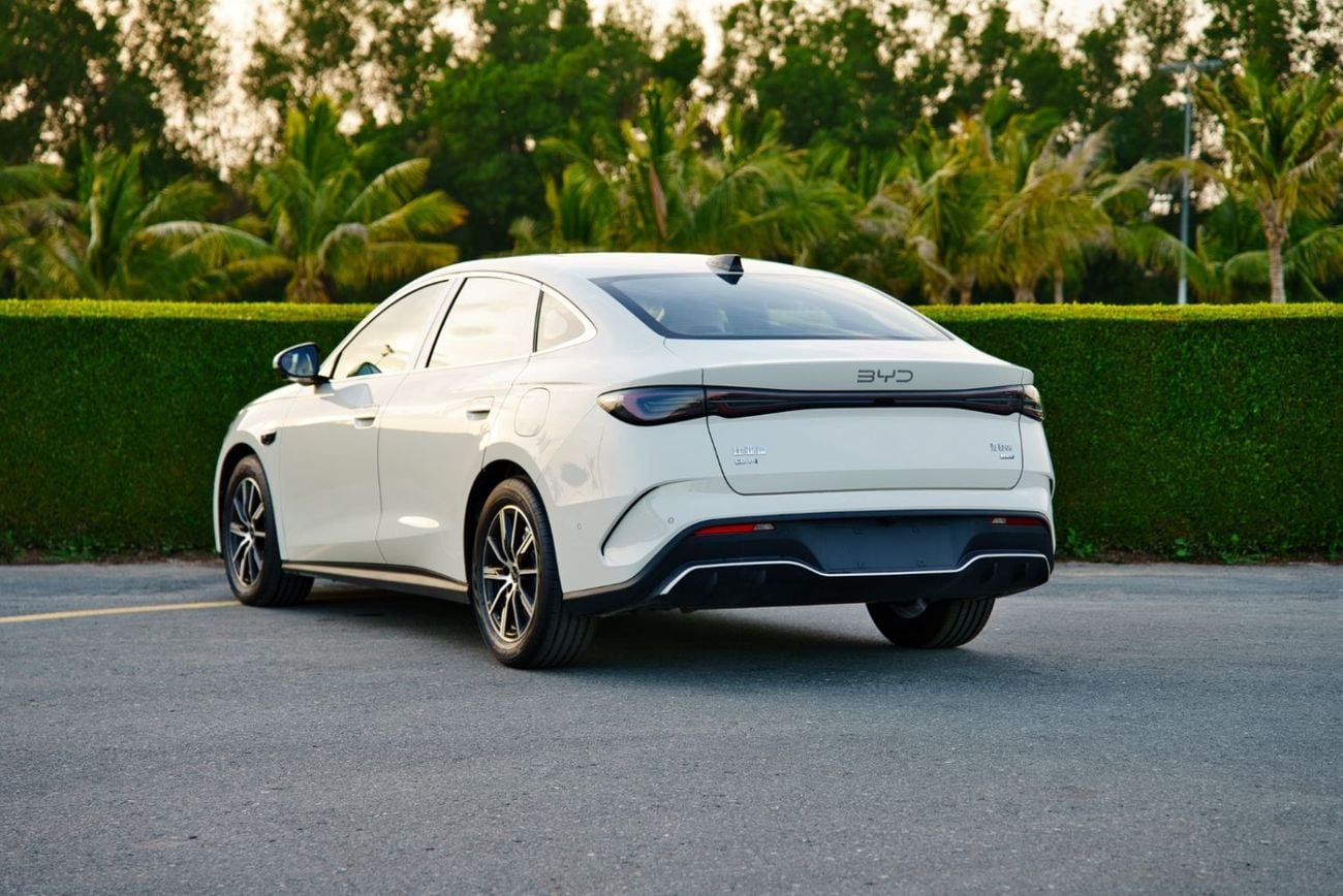 بي واي دي سيل 06 دي إم-آي