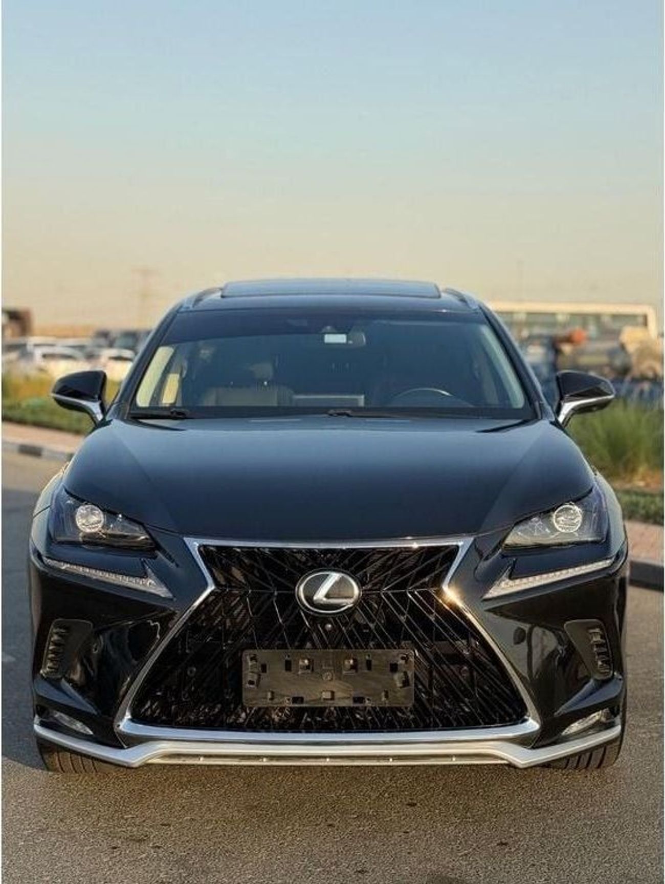 Lexus NX300 LEXUS NX300 Platinum