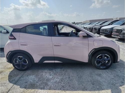 BYD Seagull FLYING HATCHBACK ELECTRIC 2024