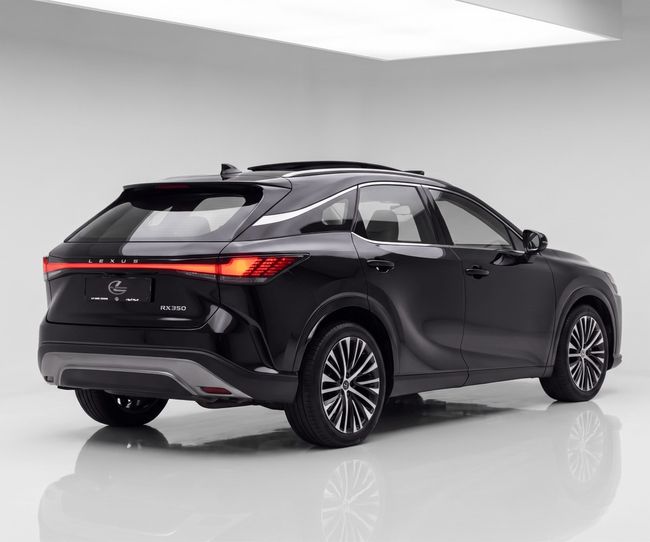 Lexus RX PRESTIGE, миниатюра 7