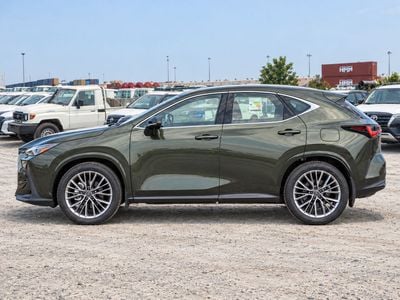 Lexus NX350  ECTAV0009 - 2026 Lexus NX350 - 2.4L Petrol Auto - Khaki Green
